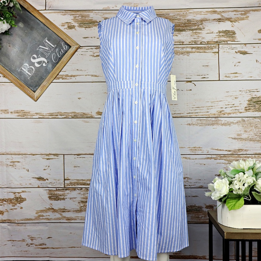 Eliza J Sleeveless Blue and White Dress